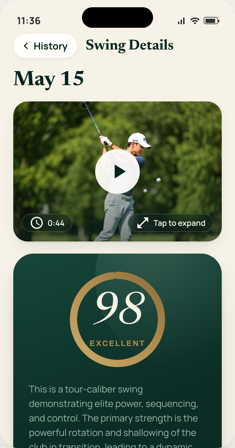 Swing Detail — the hero score verdict with a tour-caliber summary